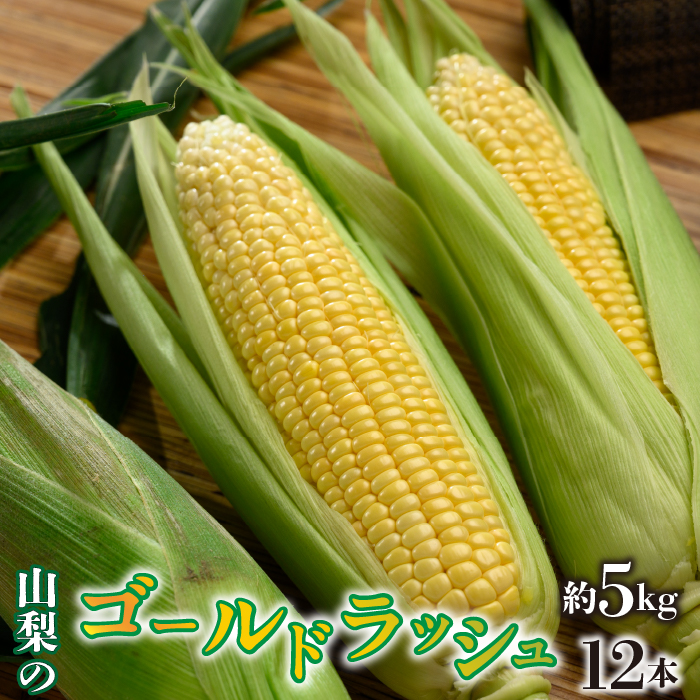 ＜2025年/令和7年発送先行予約＞ゴールドラッシュ 約5kg　12本入り SWAO003