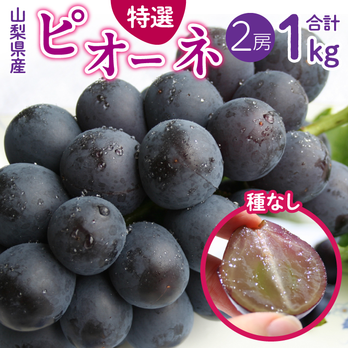 ＜2025年/令和7年発送先行予約＞山梨県産 種無しピオーネ約500g×2房 SWAM001