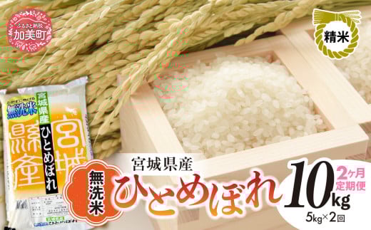 【2回定期便】R7 宮城県産 ひとめぼれ 無洗米 5kg×2回 [ 宮城県 加美町 菅原精米 ] 米 こめ コメ ご飯 sw-hb05-mu-t2-r7