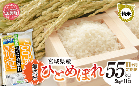【11回定期便】R7 宮城県産 ひとめぼれ 無洗米 5kg×11回 [ 宮城県 加美町 菅原精米 ] 米 こめ コメ ご飯 sw-hb05-mu-t11-r7