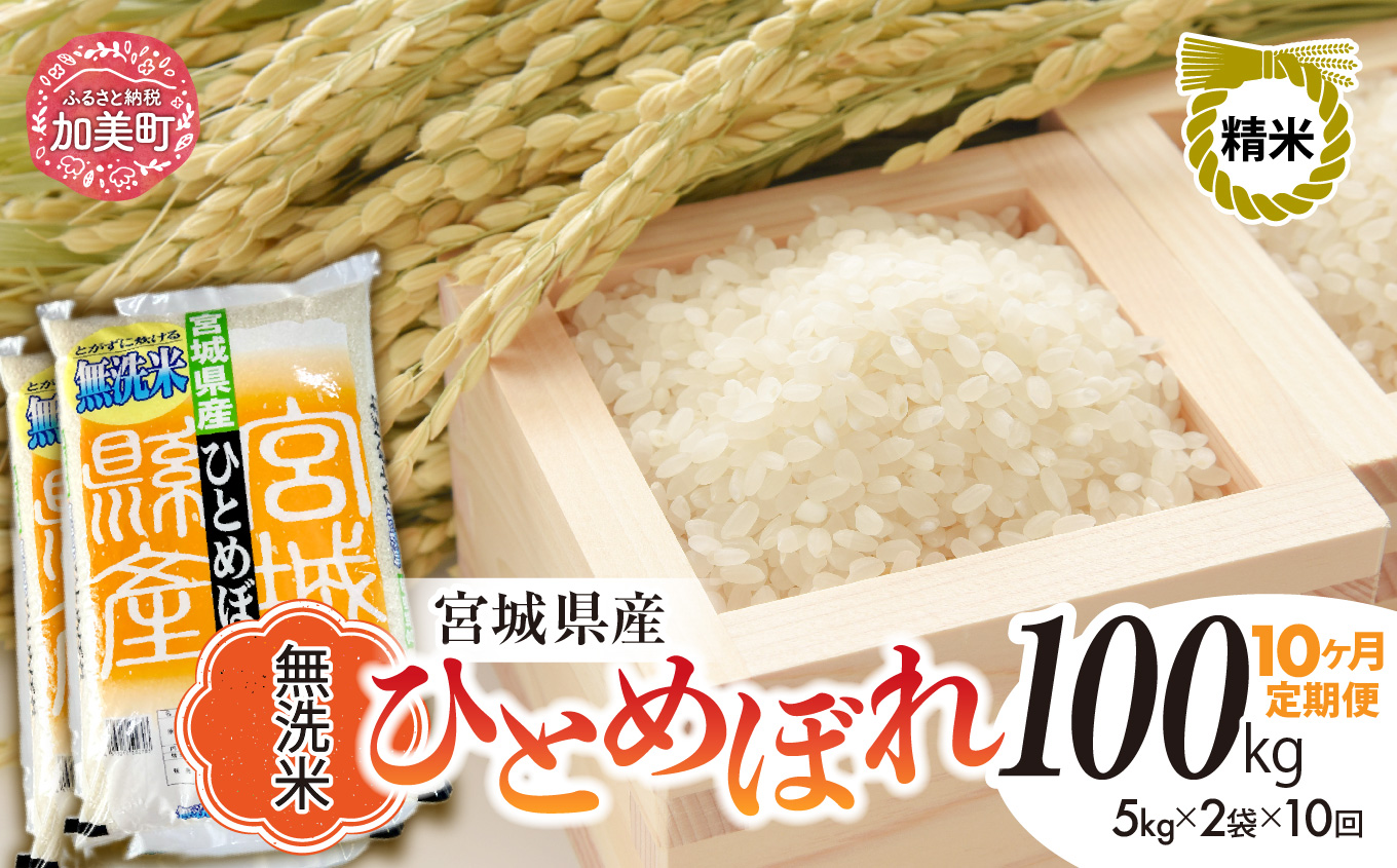 【10回定期便】R7 宮城県産 ひとめぼれ 無洗米 10kg×10回 [ 宮城県 加美町 菅原精米 ] 米 こめ コメ ご飯 sw-hb10-mu-t10-r7