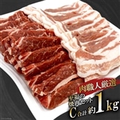 【肉職人厳選】至福の焼肉セットC 計約1kg 加美町産ブランド豚 おだしまポーク [関精肉畜産 宮城県 加美町 44581357] 牛カルビ 焼き肉 豚 カルビ
