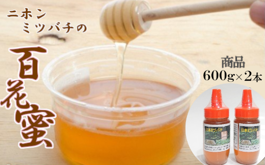 【数量限定】日本ミツバチの百花蜜2本セット(600g×2)【ハチミツ 蜂蜜 はちみつ ニホンミツバチ 瓶詰め 国内産 青森県 七戸町】【02402-0245】