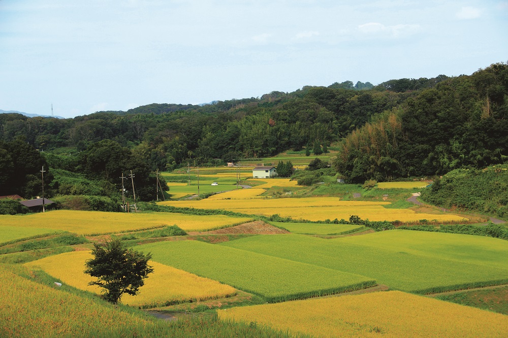 京都府京田辺市