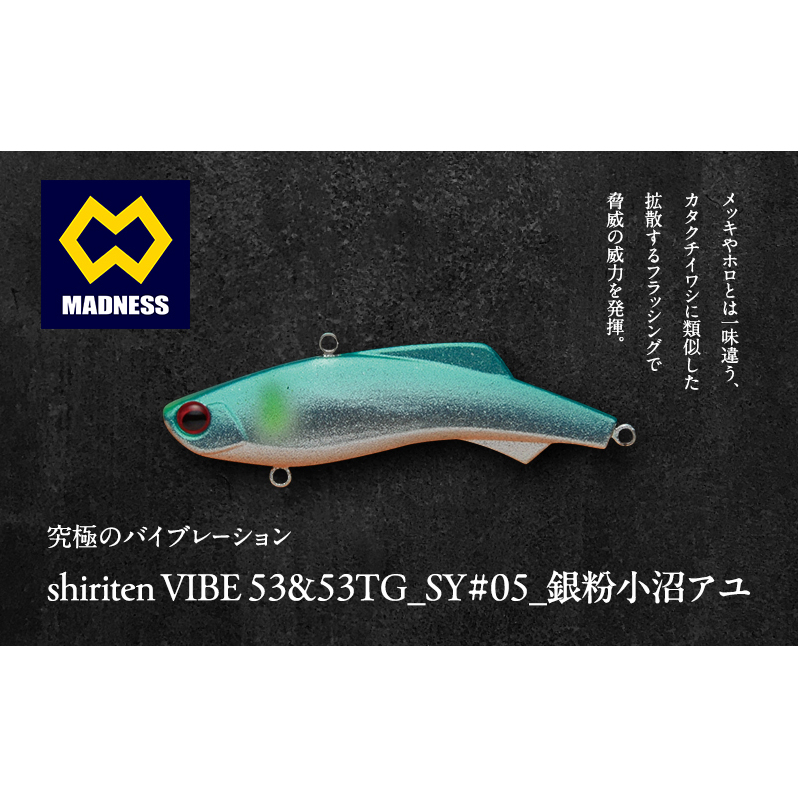 シリテンバイブ53 勝負シリーズSY#05 銀粉小沼アユ〈釣り、ルアー、釣り具、スポーツ〉雑貨 日用品