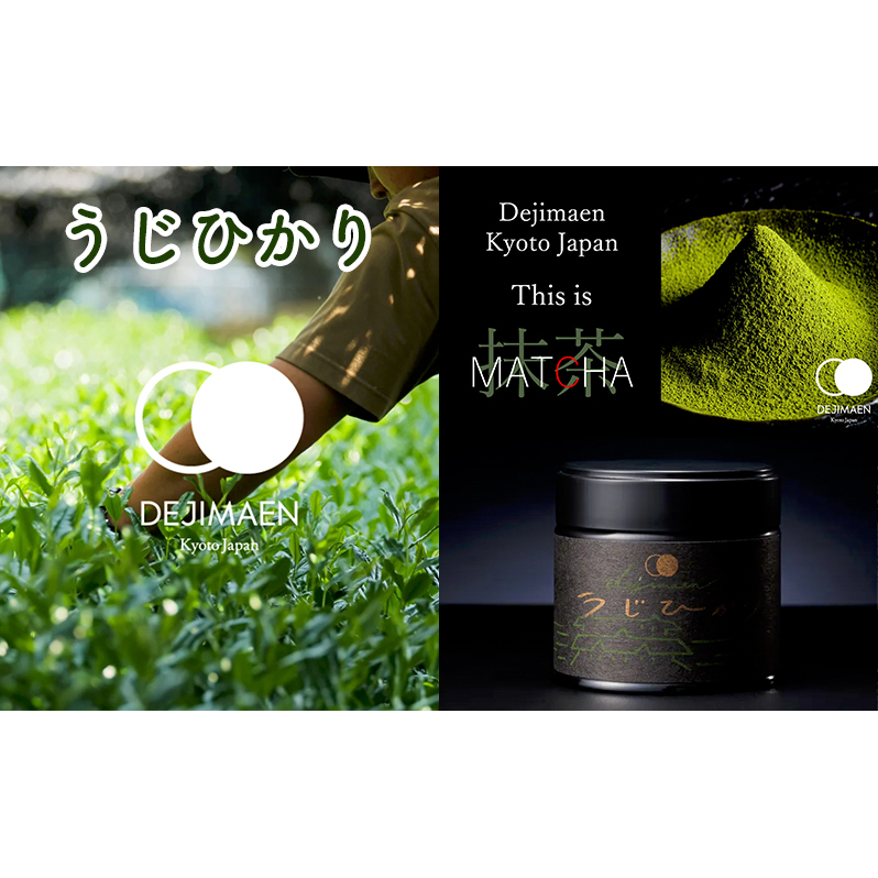 シングルオリジン抹茶「うじひかり」 緑茶 お茶 国産 30g 京都 