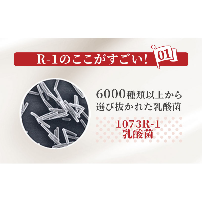 R1 定期便 3ヶ月 R-1 プロビオヨーグルト ドリンク タイプ 明治 R1 定期便 3ヶ月 R-1 プロビオヨーグルト ドリンク タイプ 明治