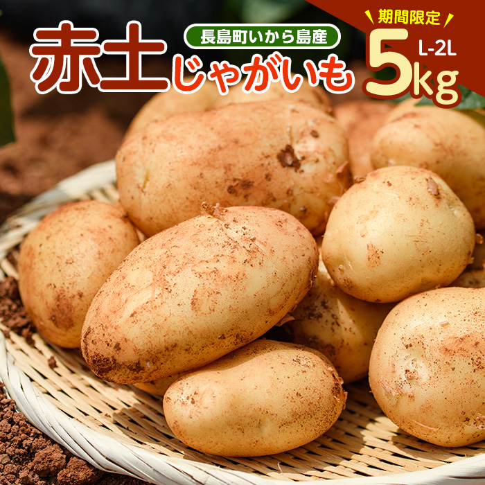 《先行受付:5月発送》長島町 いから島産 赤土 じゃがいも5kg 【高橋農園】_takahashi-1495