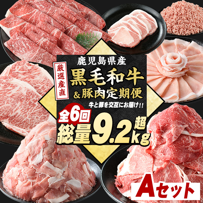 <定期便全6回>黒毛和牛&豚肉定期便 総重量9.2kg超 赤身 モモ 豚 ミンチ ロースかつ 豚肉 牛肉 切り落とし サーロイン 豚ロース しゃぶしゃぶ すき焼き 【スターゼン】_starzen-1534