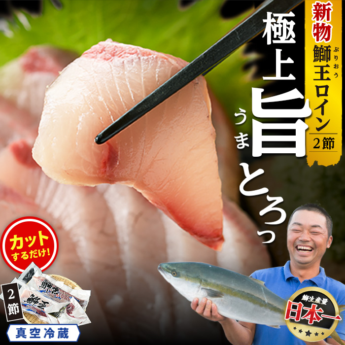 [30日以内に発送中][切って盛るだけ]『旅サラダ』で紹介ぶりの王様 新物 「 鰤王 」ロイン (約750g・2節) 半身 産地直送 新鮮 旨味が抜群の 長島町 特産品 ブランド ぶり 鰤 ブリ 切り身 ぶりかま フィレ 真空 冷蔵 刺身 ぶりしゃぶ しゃぶしゃぶ 魚 魚介 人気 ランキング [JFA]_jfa-1482