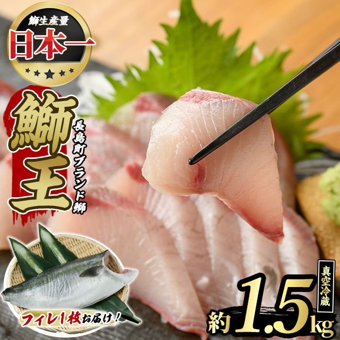 ぶりの王様「 鰤王 」 フィレ (約1.5kg・フィレ1枚) 産地直送 長島町特産品 ぶり 鰤 ブリ 切り身 真空 冷蔵 刺身 ぶりしゃぶ 人気 [JFA]_jfa-1219