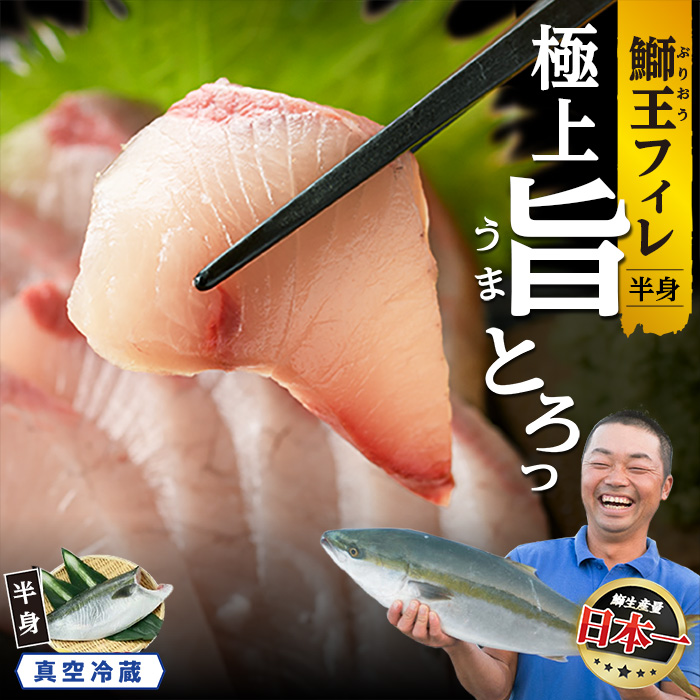 【先行予約 2025年10月より順次発送】 『旅サラダ』で紹介ぶりの王様「 鰤王 」 フィレ 半身 (約1.3~1.5kg・フィレ1枚) 産地直送 新鮮 旨味が抜群の 長島町 特産品 ブランド ぶり 鰤 ブリ 切り身 真空 冷蔵 刺身 ぶりしゃぶ しゃぶしゃぶ 魚 魚介 人気 ランキング 【JFA】_jfa-1483