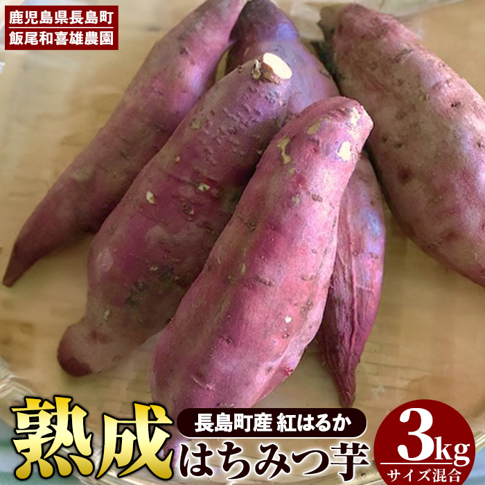 《先行予約》〈数量限定〉和喜雄さんといつみさんのはちみつ芋(計3kg)【飯尾和喜雄農園】_iio-3931