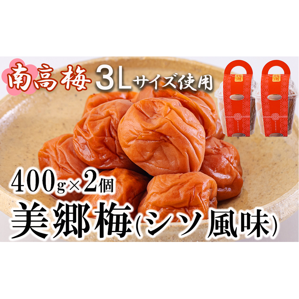 南高梅 梅干し 美郷梅 シソ風味 400g×2 3Lサイズ 塩分控えめ A級品 [農林産物直売所 美郷ノ蔵 宮崎県 美郷町 31ab0113] 国産 宮崎県産 美郷産 常温 送料無料 贈答品 父の日 母の日 プレゼント ギフト 贈り物 おやつ お菓子 調理 おかず 料理 普段使い