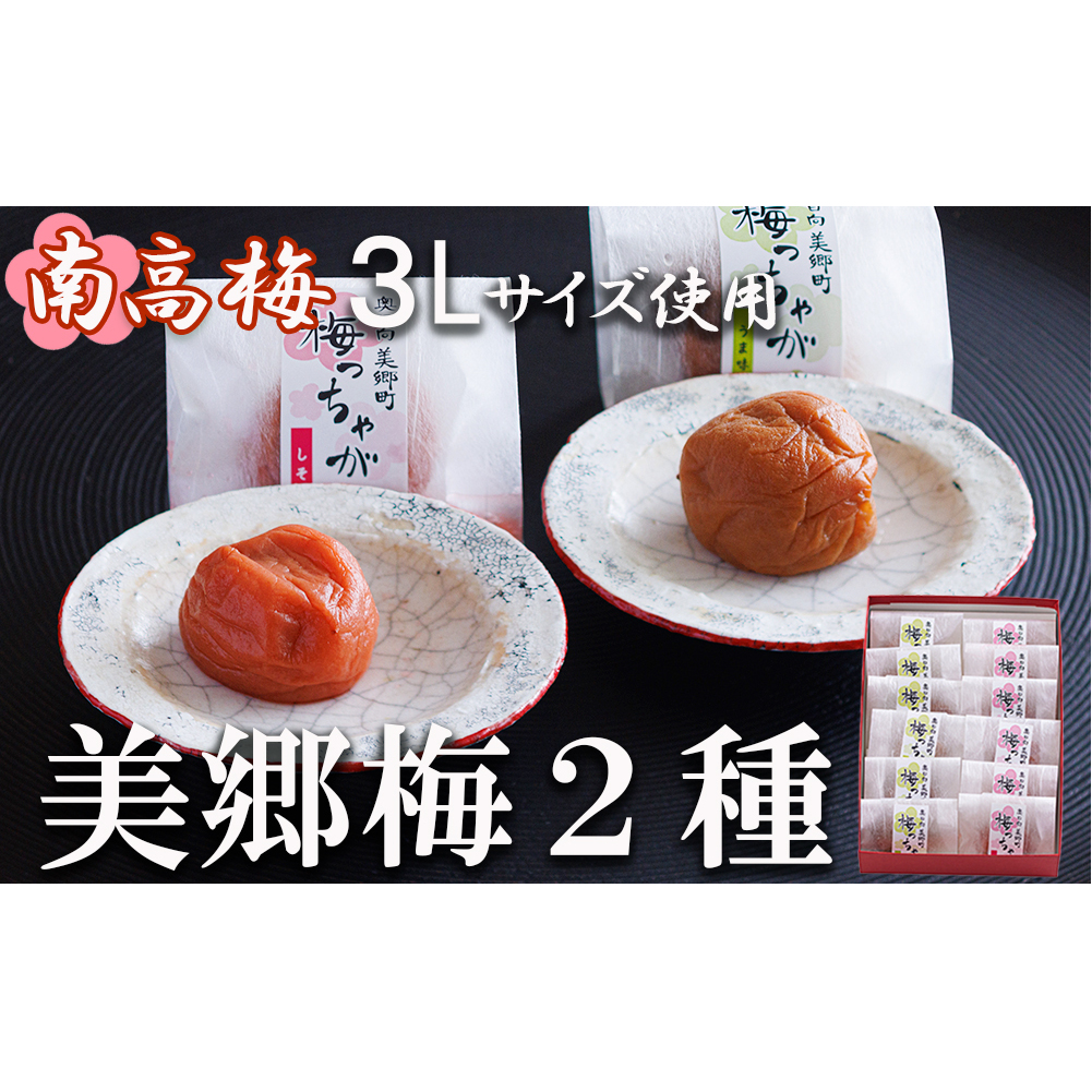 【訳あり】宮崎県産南高梅 6kg 朝採れ 規格外 朝採り南高梅 | 鮮度抜群の採れたて南高梅、みかん、レモンを