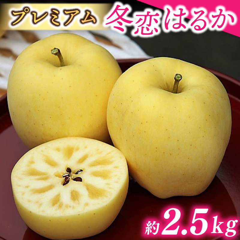 りんご 「プレミアム 冬恋はるか」 糖度16度以上【先行予約 12月発送予定】 数量限定 岩手県産 高級 りんご リンゴ 林檎 冬恋 はるか フルーツ くだもの 果物 【冬恋研究会】 (AI021)