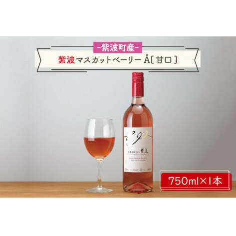 産地限定 ワインぶどう品種使用 紫波マスカットベーリーA 甘口 紫波町産 テロワール ワイン(AL061-2)