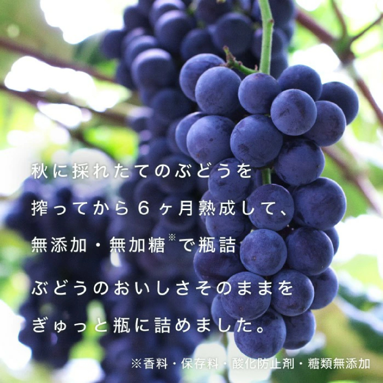 無添加 無加糖 100%ストレート 濃厚 6か月熟成 紫波町のぶどう