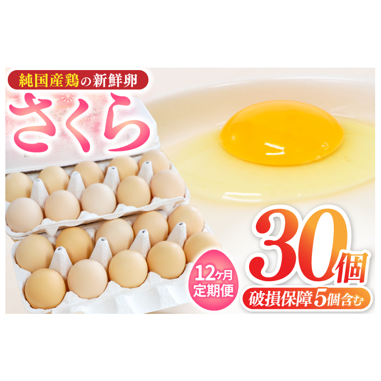 【選べる定期便】たまご 卵 玉子 鶏卵 純国産鶏 さくら 純たまご30個 破損保証5個含む 採れたて 新鮮 農地直送 12ヶ月 定期便 卵料理 卵焼き 卵かけご飯 オムレツ 朝食】 (AJ030)