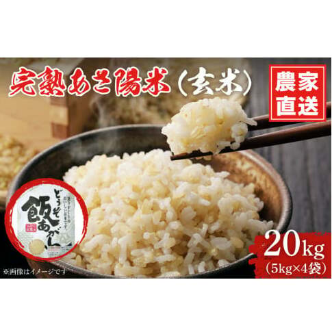 \新米 先行予約 令和7年産/ 完熟あさ陽米 (玄米) 20kg (5kg×4) ひとめぼれ 特別栽培米 生産農家直送 (CP033)