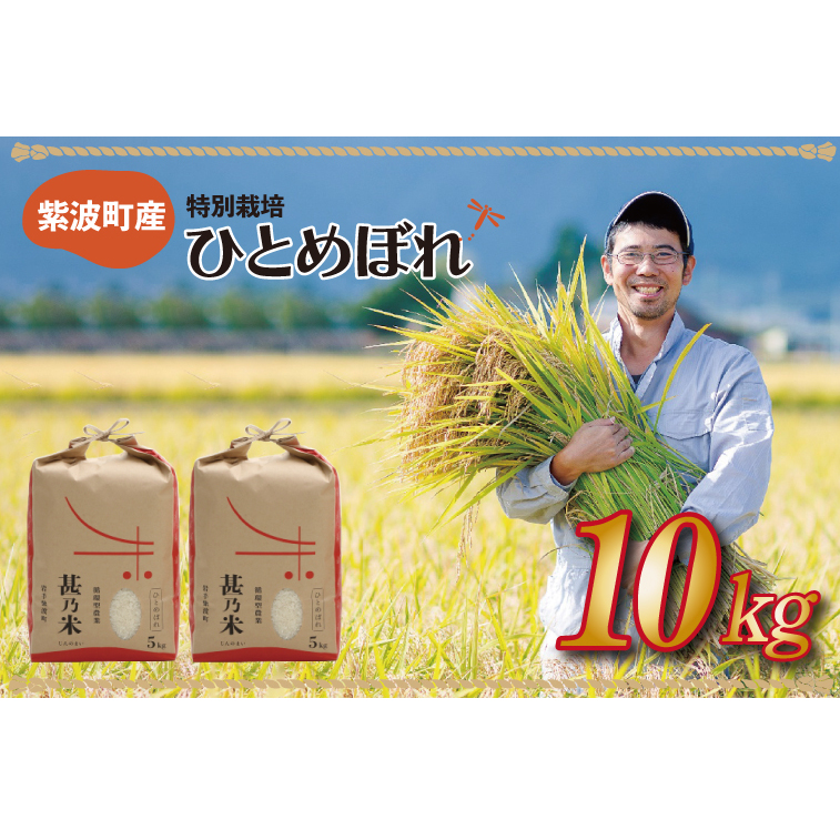\令和6年産/ ひとめぼれ 白米 10kg (5kg×2袋) 【甚乃米 特別栽培米】 さめても美味しい おこめ 白米 岩手県 紫波町産 (AC023)