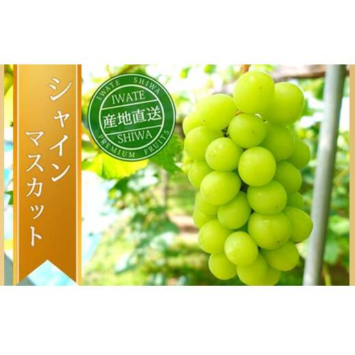 ＼先行予約／【数量限定】岩手県産 ぶどう シャインマスカット 約1kg (AR032) 9月下旬発送開始 紫波町産 贈答品 ギフト フルーツ 葡萄 ブドウ 2房 高品質 完熟 甘い 新鮮 産地直送 (AR032)