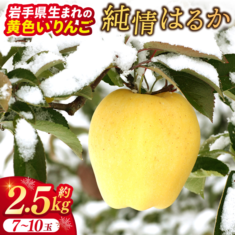 りんご はるか 「純情はるか」約2.5kg 糖度14度以上【先行予約 12月発送予定】数量限定 岩手県産 りんご リンゴ 林檎 はるか フルーツ くだもの 果物 訳あり 自家用 家庭用 【冬恋研究会】 (AI024)