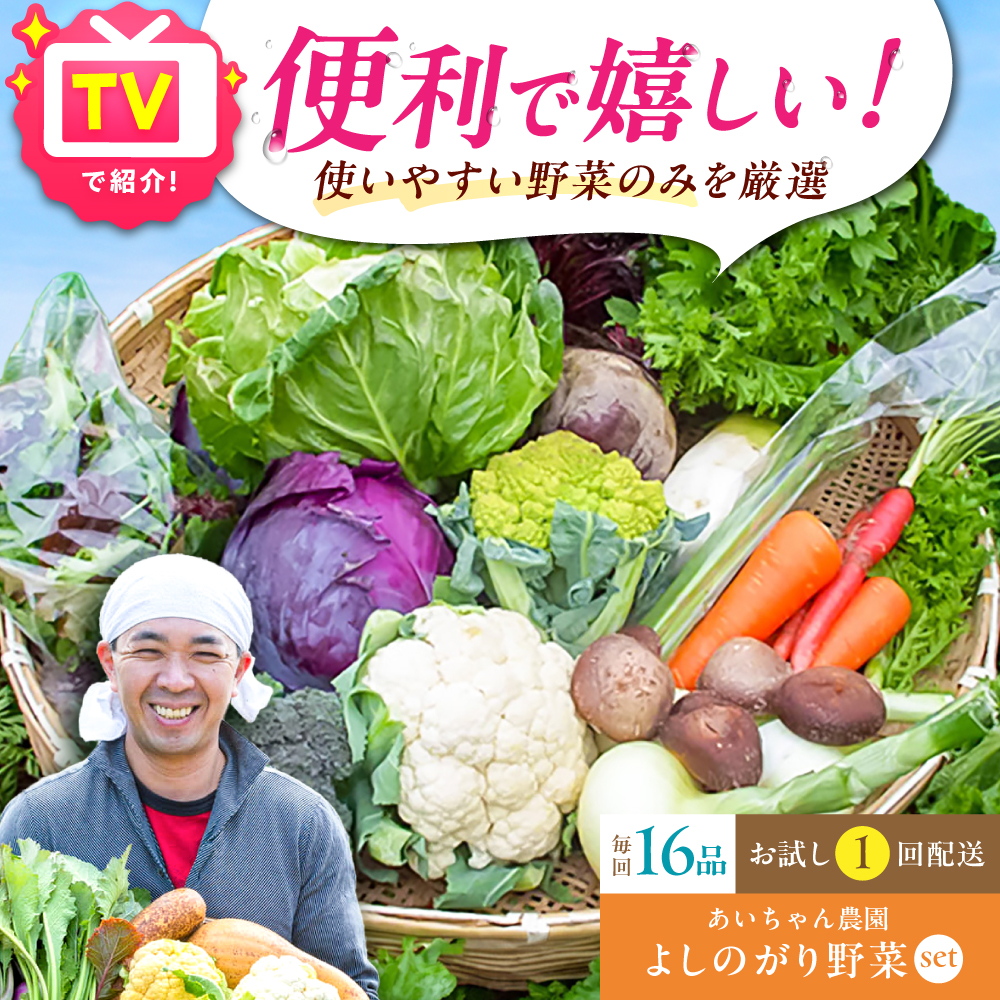 【16品】あいちゃん農園の「よしのがり野菜」セット（ラージ） [FAA009]