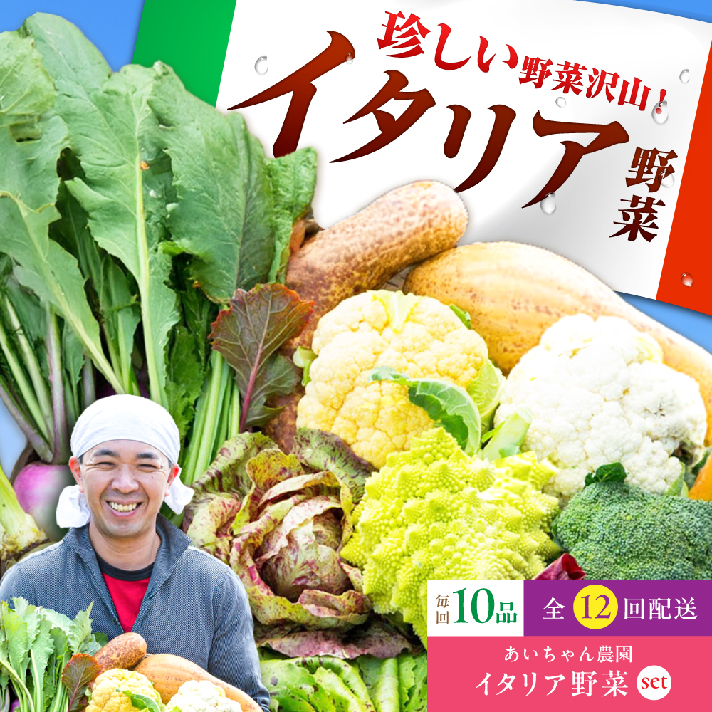 【10品×12回定期便】あいちゃん農園の「イタリア野菜」セット（レギュラー） [FAA018]
