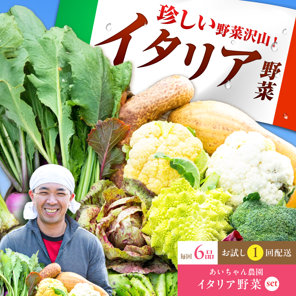 【6品】あいちゃん農園の「イタリア野菜」セット（ショート） [FAA013]