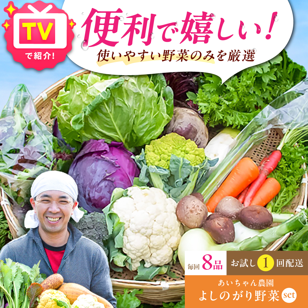 【8品】あいちゃん農園の「よしのがり野菜」セット（ショート） [FAA001]