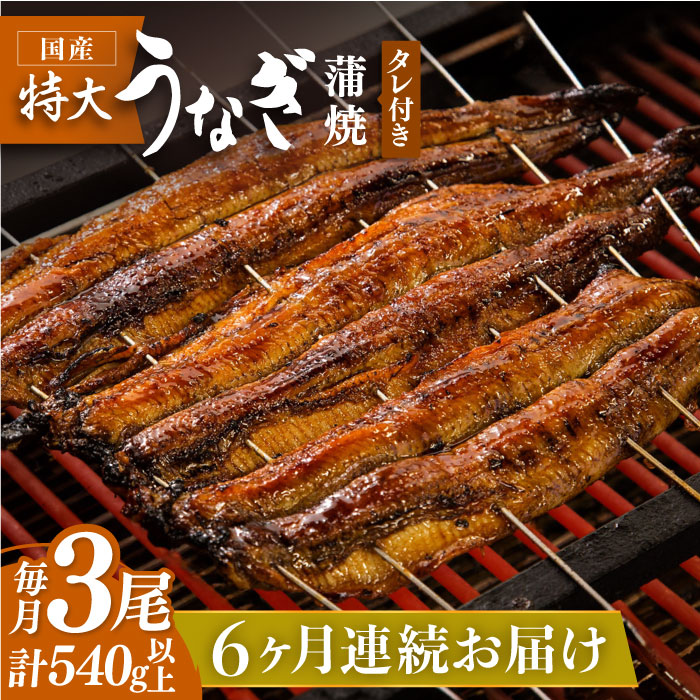 【6回定期便】板前こだわりの国産うなぎ蒲焼 3枚セット【丸安】 [FAD007]