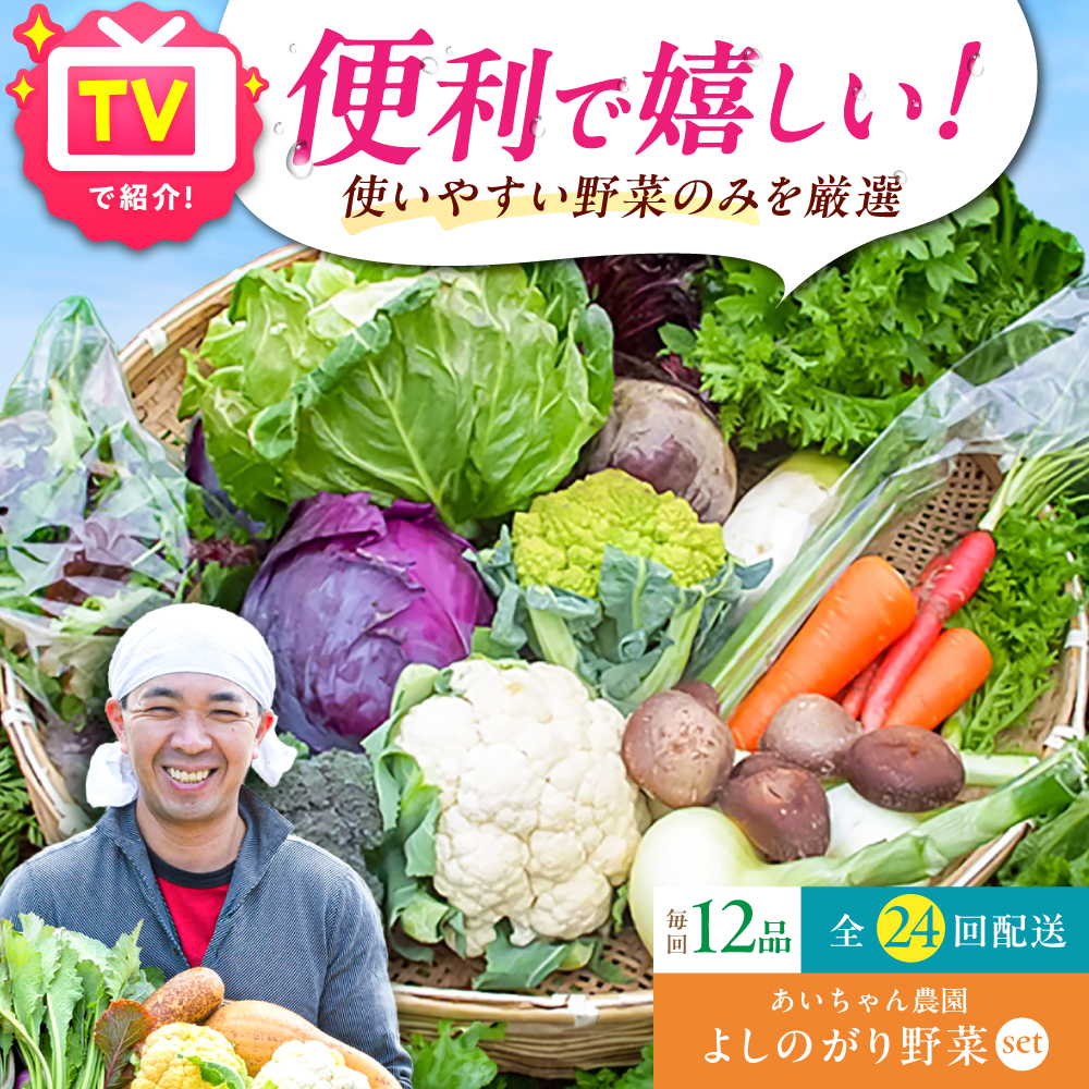 【12品 / 24回定期便】あいちゃん農園の「よしのがり野菜」セット（レギュラー） [FAA007]