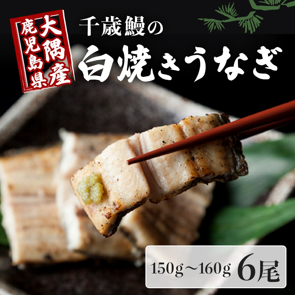 鹿児島県大隅産 千歳鰻の白焼鰻 6尾