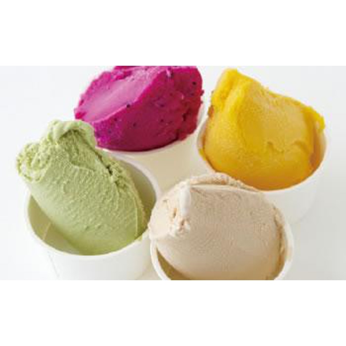鹿児島の恵みで作ったジェラート10種類セット