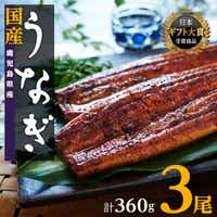おおさきうなぎ（鹿児島県産うなぎ長蒲焼）３尾セット