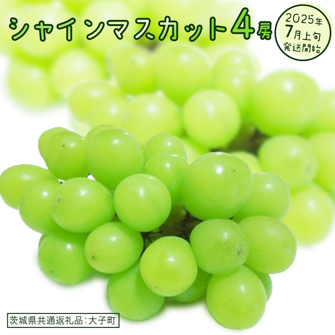 シャインマスカット ４房 【2025年7月上旬発送開始】(茨城県共通返礼品：大子町) ぶどう 葡萄 ブドウ マスカット フルーツ 果物 スイーツ