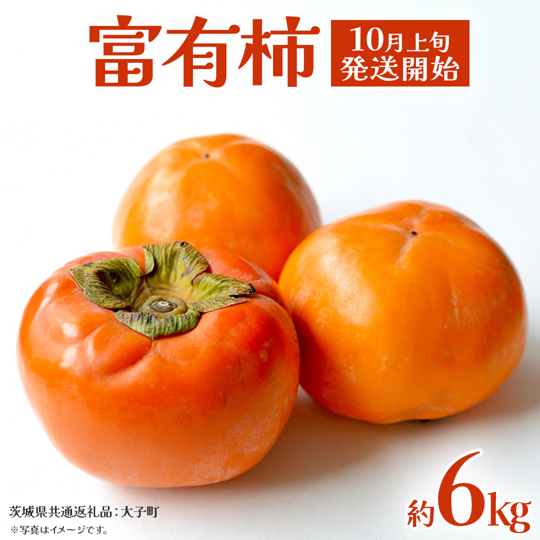 富有柿 約6kg 【2025年10月上旬発送開始】(茨城県共通返礼品：大子町) 柿 カキ かき 果物 フルーツ 旬 季節限定 期間限定