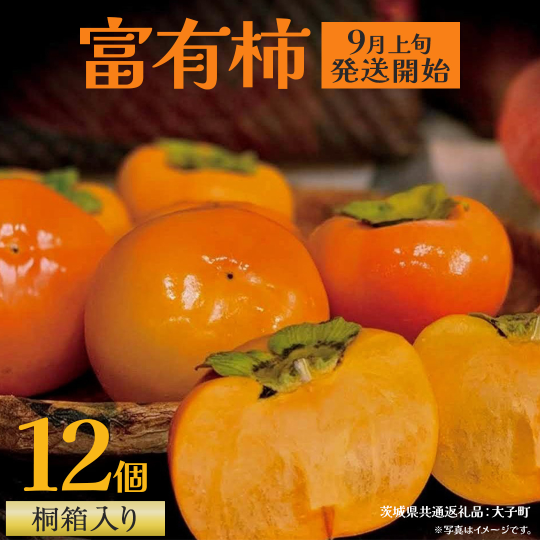 【桐箱入り】 富有柿 12個【2025年9月上旬発送開始】(茨城県共通返礼品：大子町) 柿 かき カキ 果物 フルーツ 旬 季節限定 期間限定 贈答用 ギフト 贈り物