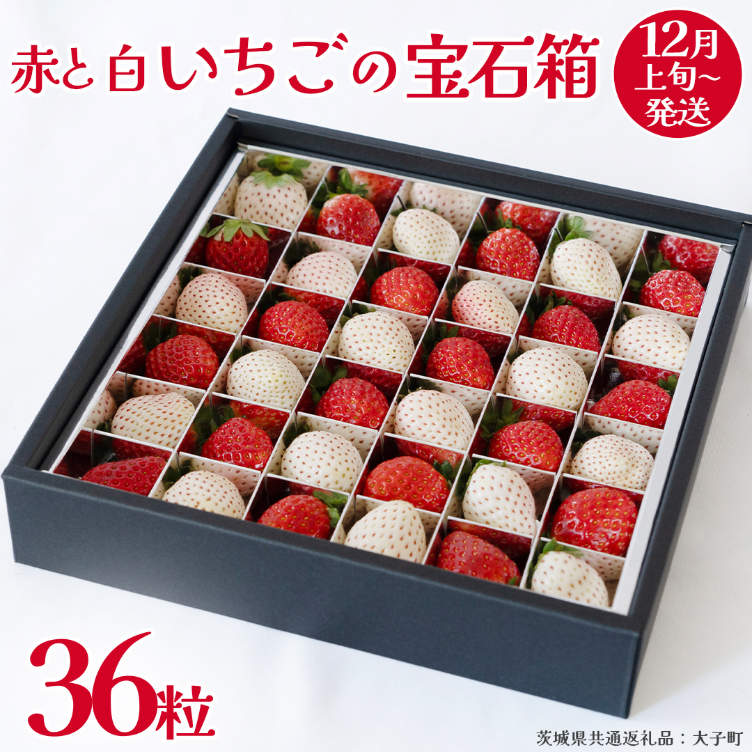 赤いちご と 白いちご の宝石箱36粒【2025年12月上旬発送開始】(茨城県共通返礼品:大子町) いちご 苺 果物 フルーツ 果実