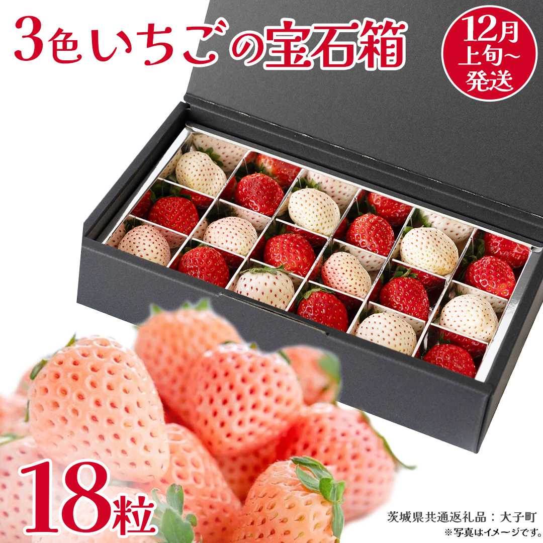 3色いちご の宝石箱18粒【2025年12月上旬発送開始】(茨城県共通返礼品:大子町) いちご 苺 果物 フルーツ 果実
