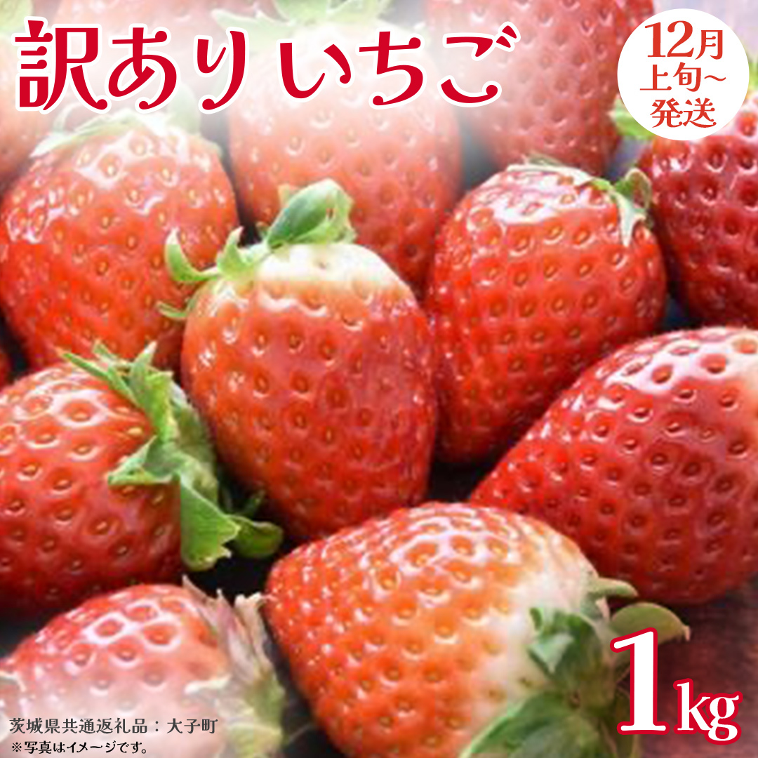 訳あり いちご 1kg【2025年12月上旬発送開始】(茨城県共通返礼品:大子町) 苺 果物 フルーツ 果実 ご家庭用