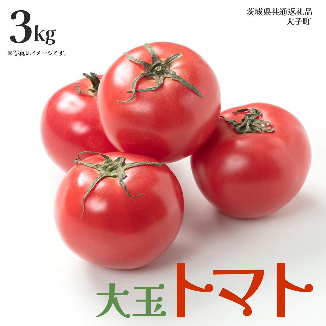 大玉 トマト 3kg (茨城県共通返礼品:大子町) 野菜 フルーツ 旬 季節限定 期間限定