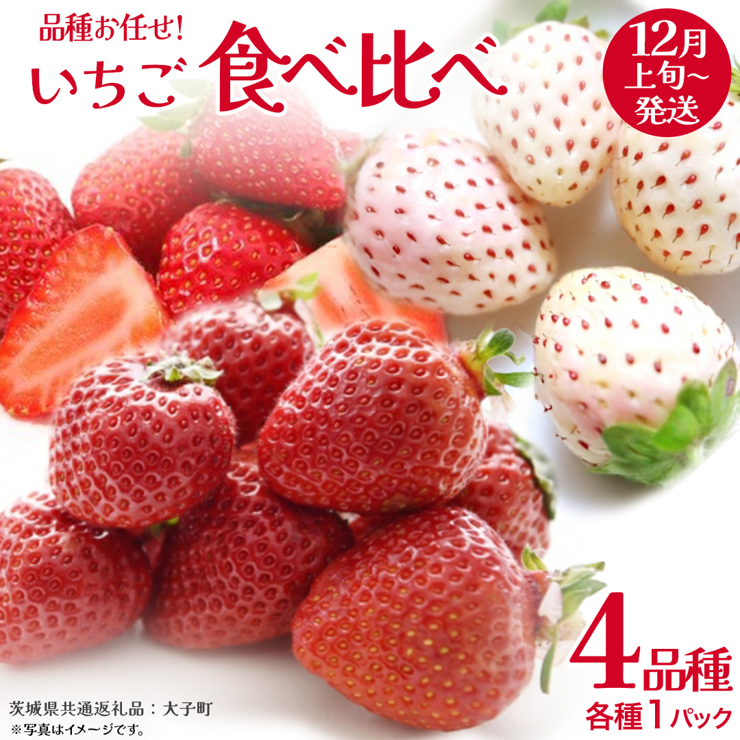 いちごの 食べ比べ 4品種×1パック【2025年12月上旬発送開始】(茨城県共通返礼品:大子町) いちご 苺 果物 フルーツ 果実