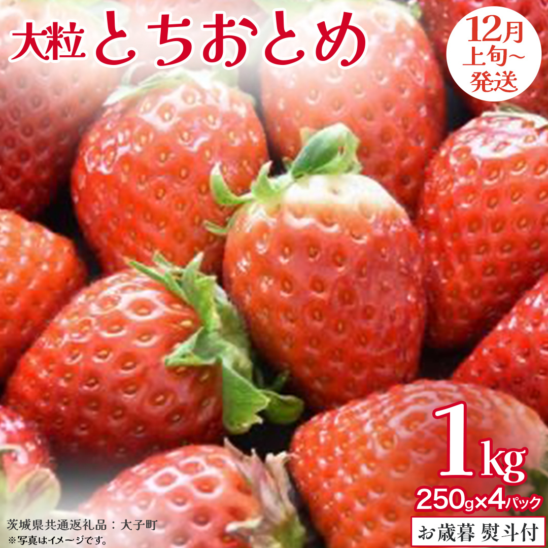【 お歳暮 熨斗付き 】 とちおとめ 250g(8~12粒)×4パック【2025年12月上旬発送開始】(茨城県共通返礼品:大子町) いちご 苺 果物 フルーツ 果実 贈答用 ギフト 贈り物