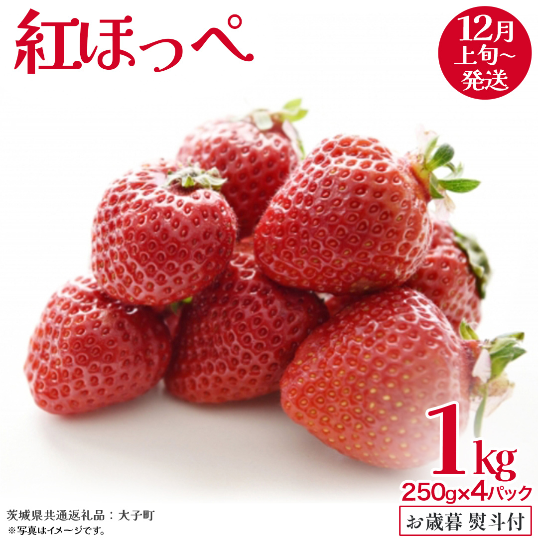 【 お歳暮 熨斗付き 】 紅ほっぺ 250g(8~12粒)×4パック【2025年12月上旬発送開始】(茨城県共通返礼品:大子町) いちご 苺 果物 フルーツ 果実 贈答用 ギフト 贈り物