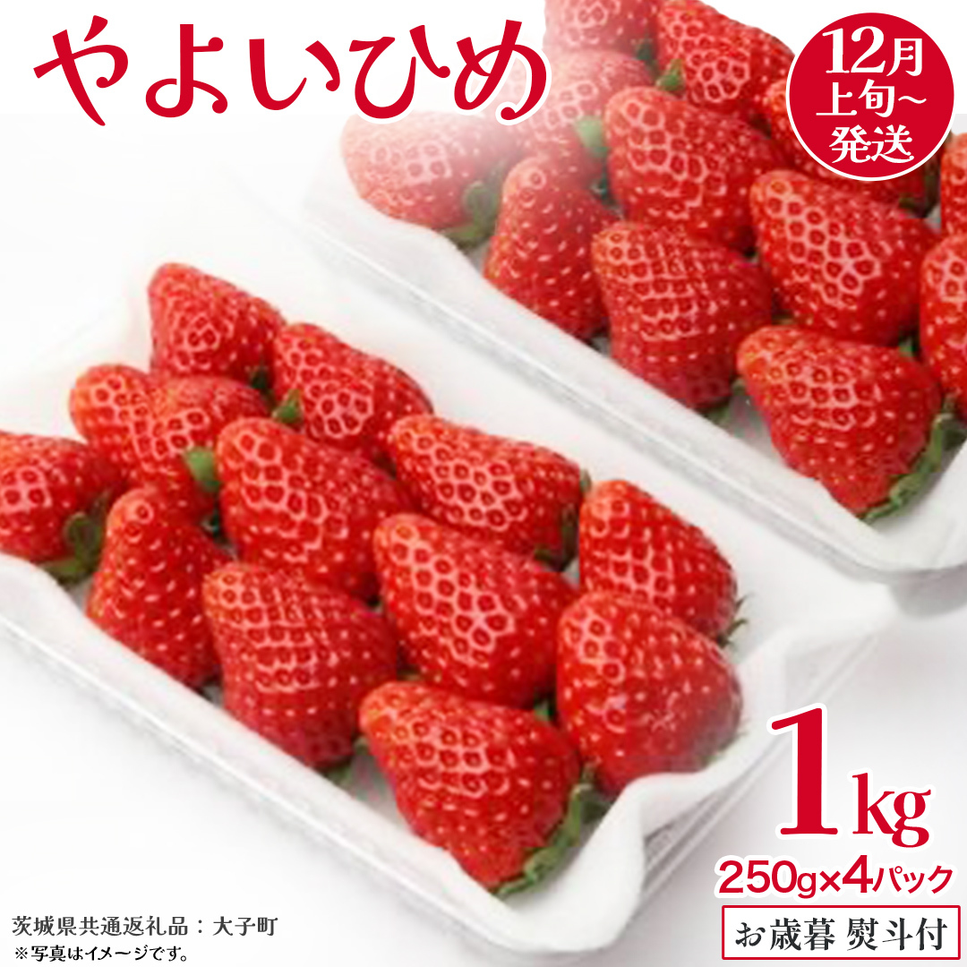 【 お歳暮 熨斗付き 】 やよいひめ 250g(8~12粒)×4パック【2025年12月上旬発送開始】(茨城県共通返礼品:大子町) いちご 苺 果物 フルーツ 果実 贈答用 ギフト 贈り物