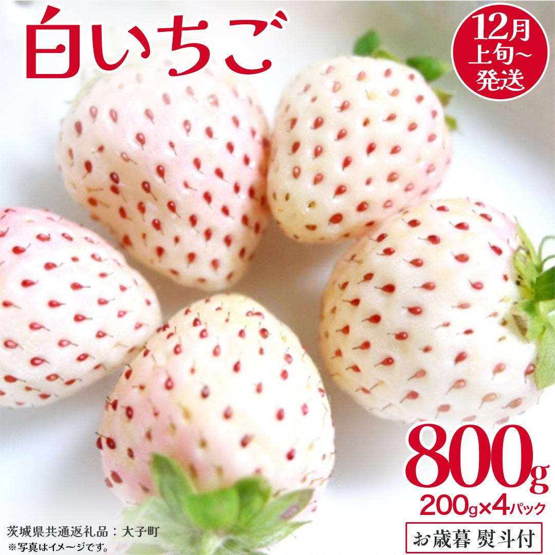 【 お歳暮 熨斗付き 】 白いちご 200g(8~12粒)×4パック【2025年12月上旬発送開始】(茨城県共通返礼品:大子町) いちご 苺 果物 フルーツ 果実 贈答用 ギフト 贈り物
