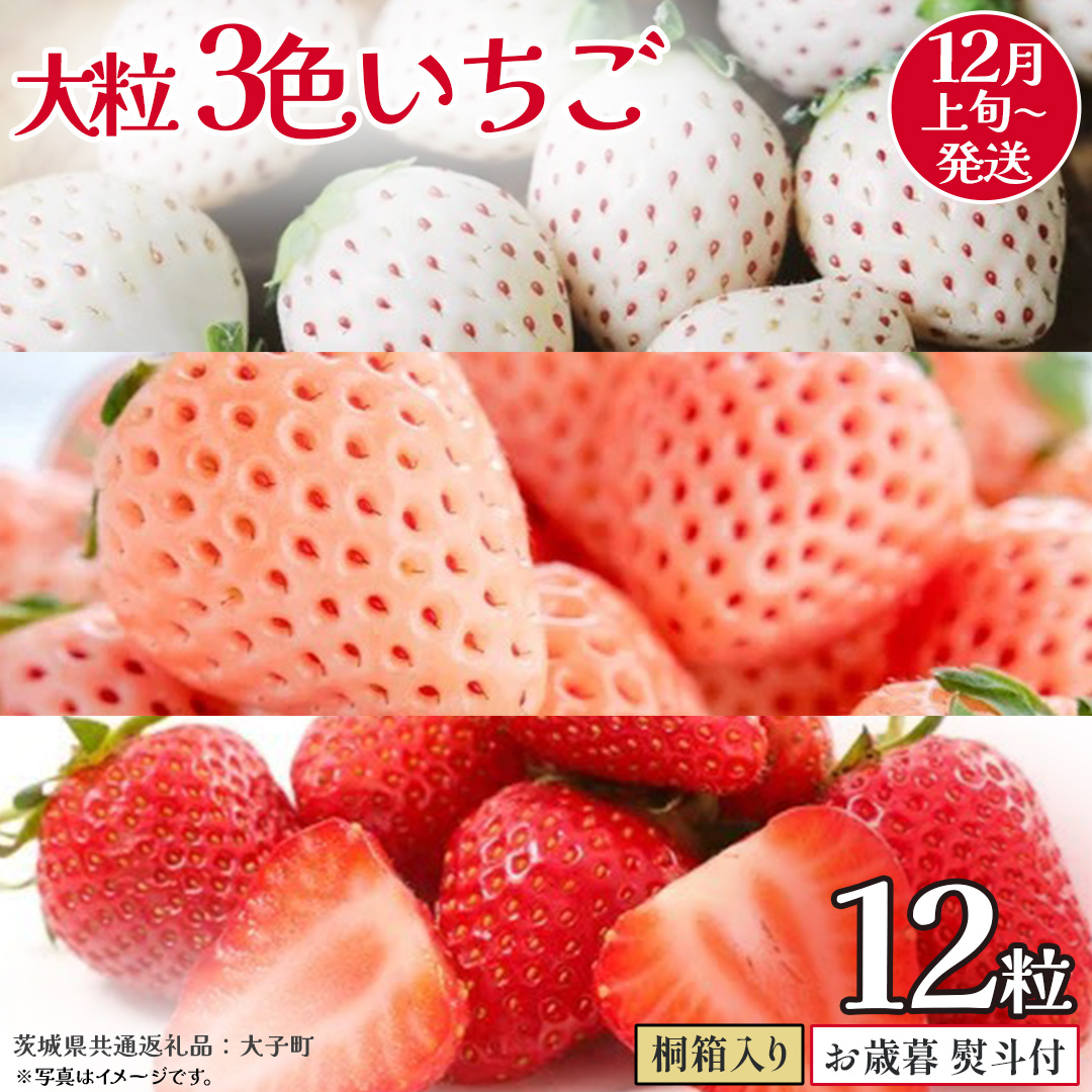 【 お歳暮 熨斗付き 】桐箱入り 大粒 3色いちご 12粒【2025年12月上旬発送開始】(茨城県共通返礼品:大子町) いちご 苺 果物 フルーツ 果実 贈答用 ギフト 贈り物