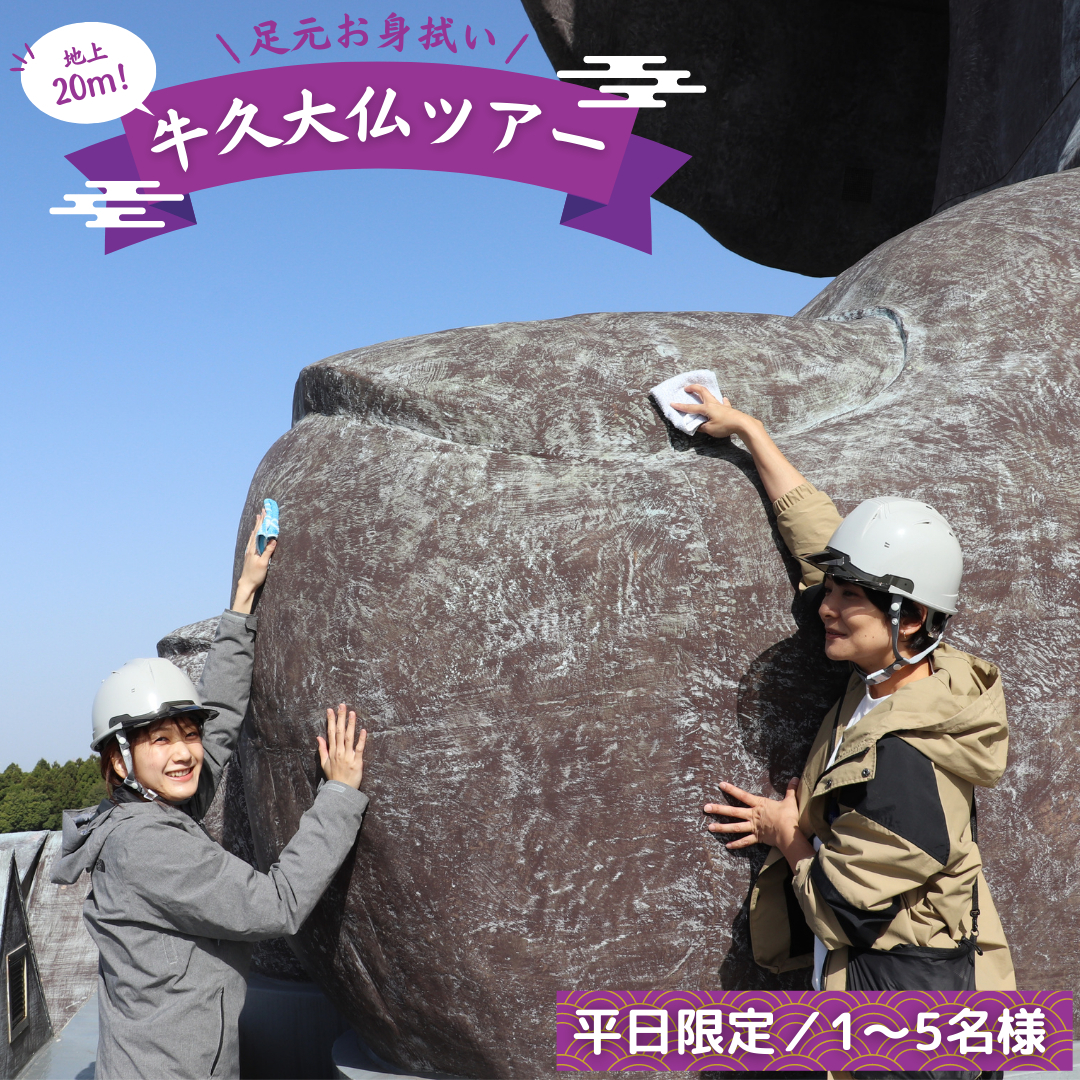 地上20ｍ 牛久大仏 足元 お身拭い 体験 ツアー ※ 平日限定 ※ （ 5名様まで ） 貸切 参加券 体験チケット 観光 ふるさと納税限定